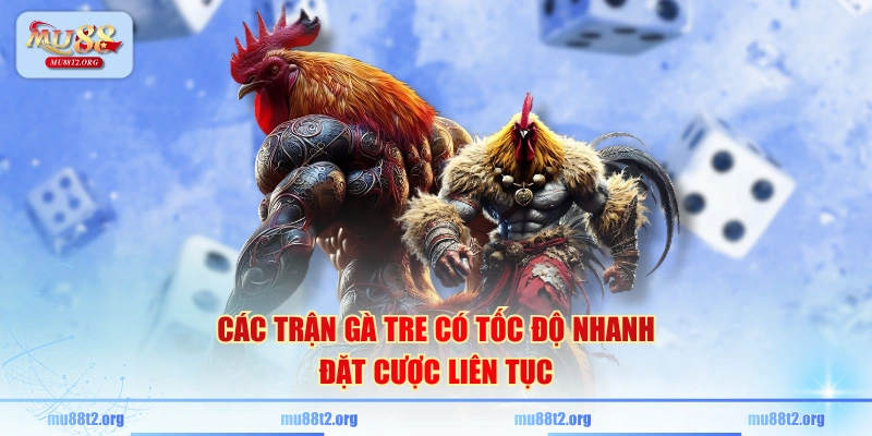 Các trận gà tre có tốc độ nhanh đặt cược liên tục