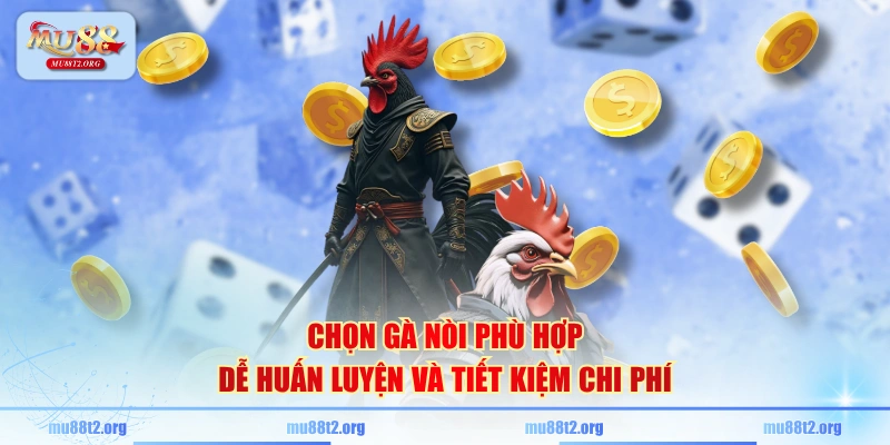 Chọn gà nòi phù hợp dễ huấn luyện và tiết kiệm chi phí