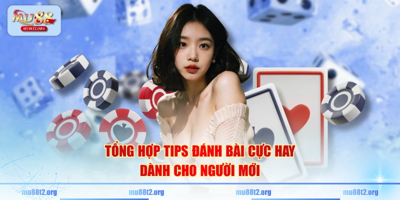 Tổng hợp tips đánh bài cực hay dành cho người mới