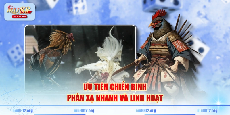 Ưu tiên chiến binh phản xạ nhanh và linh hoạt