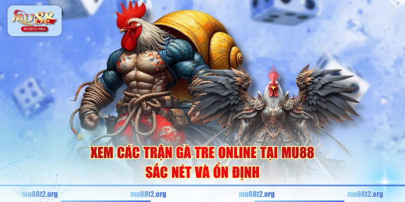 Xem các trận gà tre online tại MU88 sắc nét và ổn định